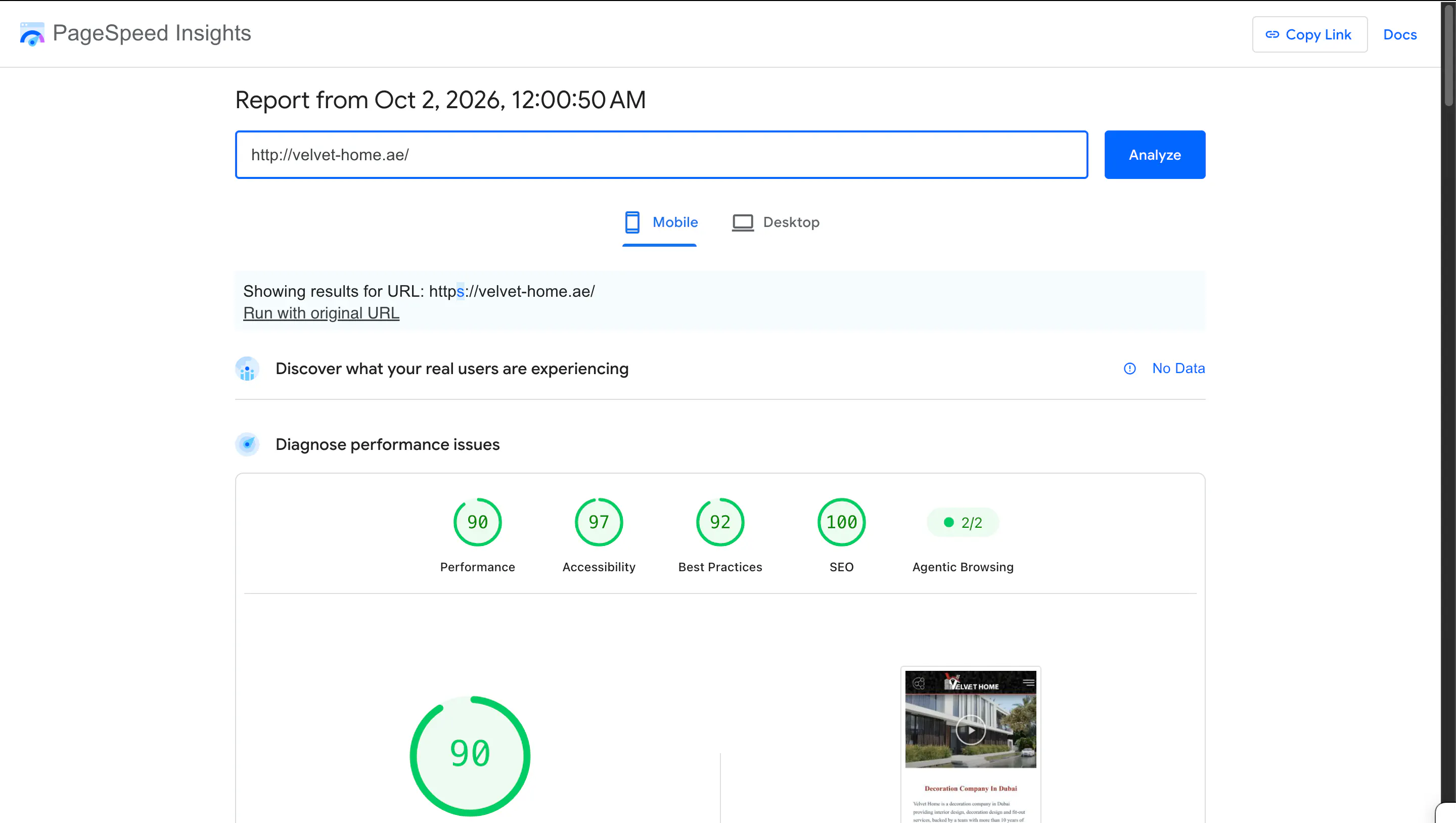 Google PageSpeed Insights example showing landing page performance considerations for SEO and Google Ads
